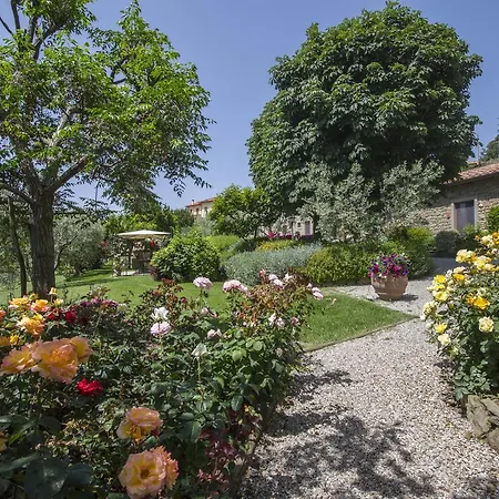 Maesta Del Sasso Cortona