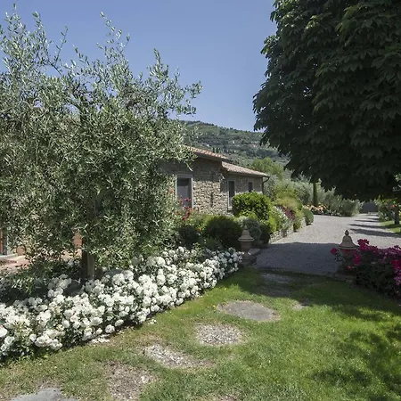 Maesta Del Sasso *